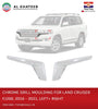 TYG Front Grille Gurad Moulding Trim Land Cruiser FJ200 2016-2021, Right Chrome